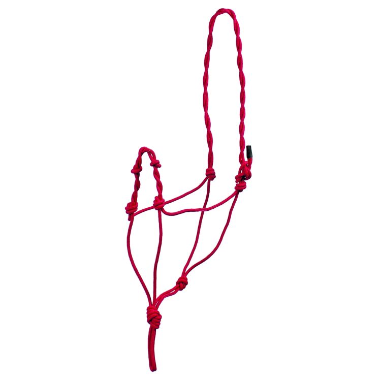 BRAIDED KNOT HALTER