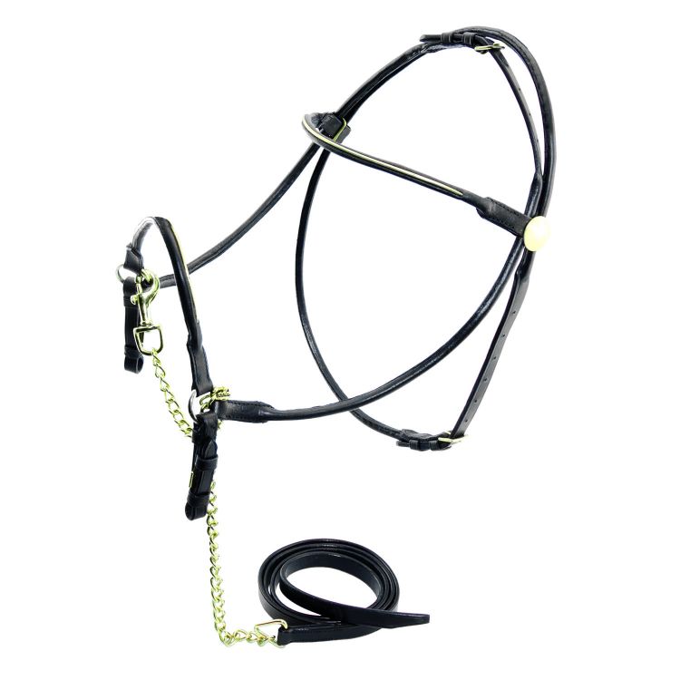 LEATHER SHOW HALTER