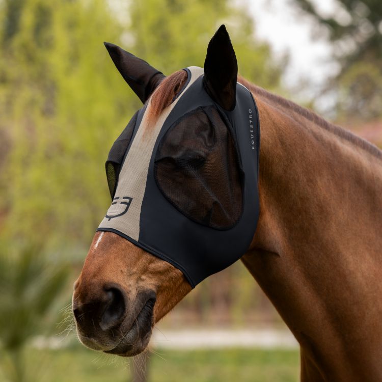Two tone mesh anti-fly mask