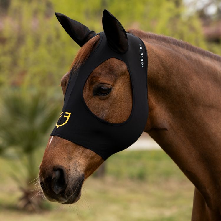 Lycra fly mask without eye net