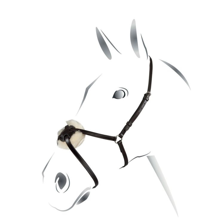 Leather figure eight noseband bridle