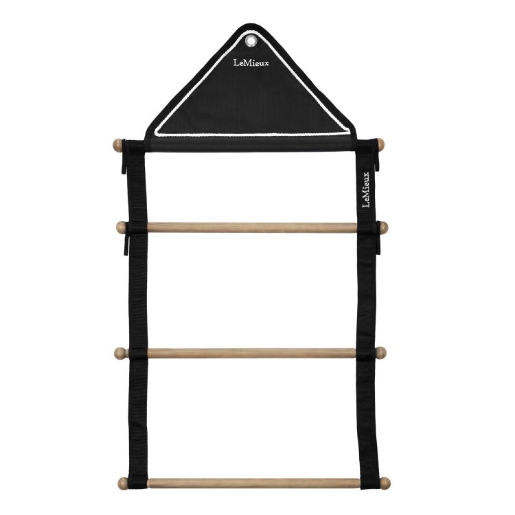 SHOW RUG HANGING RACK BLACK