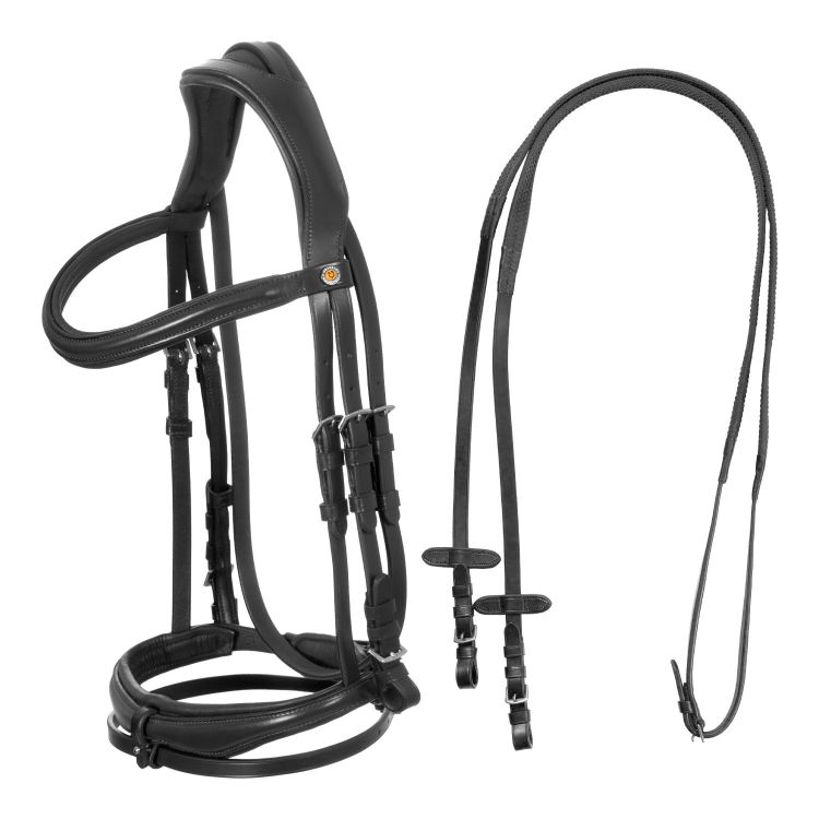 English bridle with anatomical noseband