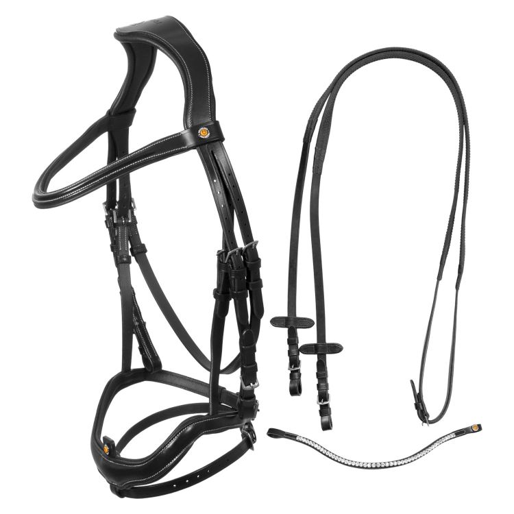 Anatomical bridle with curved noseband