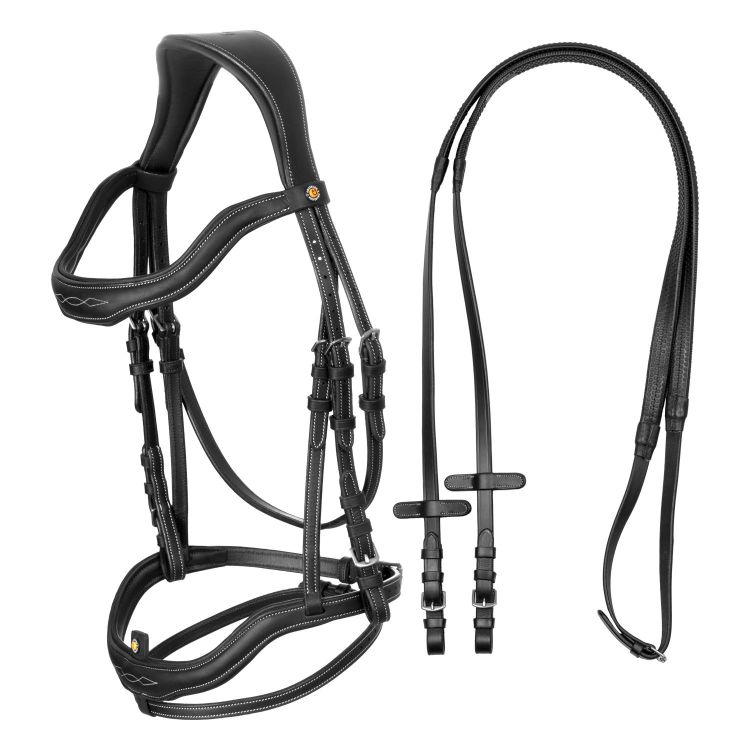 Soft leather stitched bridle