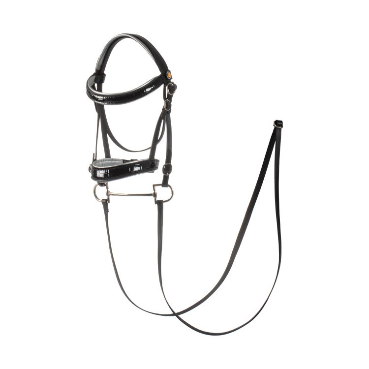 Shiny leather bridle for hobby horse