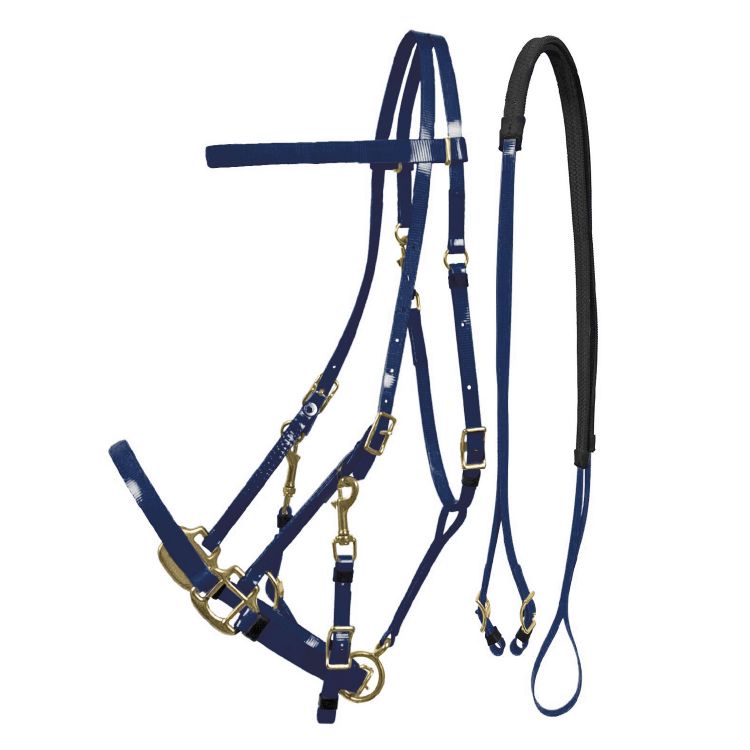 LAKOTA BIOTHANE HALTER-BRIDLE