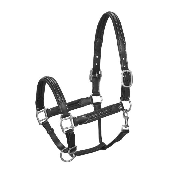 Soft leather halter with durable buckles