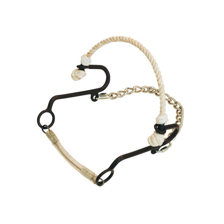 POOL'S ANTIQUE SHORT HACKAMORE